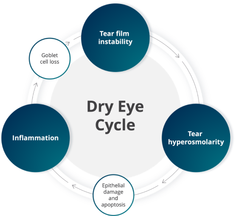 Doctor giving patient an eye exam