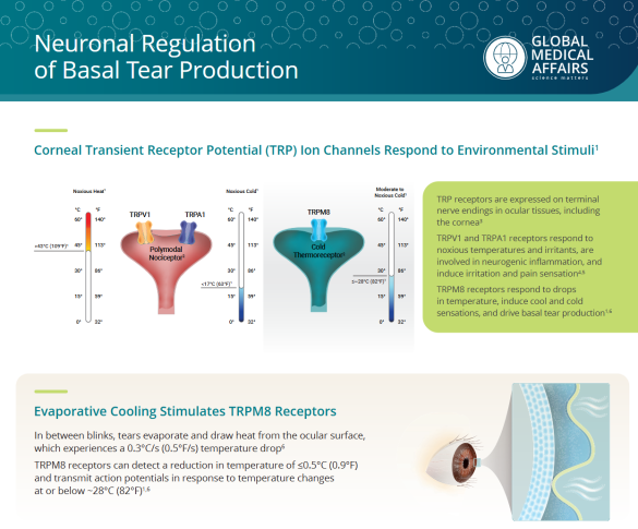 Neuronal Regulation of Basal Tear Production